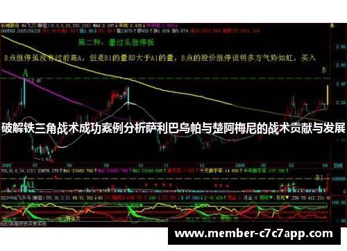 破解铁三角战术成功案例分析萨利巴乌帕与楚阿梅尼的战术贡献与发展