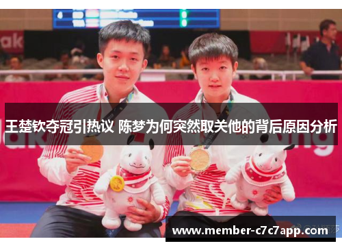 王楚钦夺冠引热议 陈梦为何突然取关他的背后原因分析 王楚钦夺冠引热议 陈梦为何突然取关他的背后原因分析